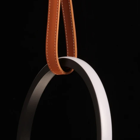 Подвесной светильник DeMarkt Ральф 675015901 (LED, 220V, на проводе, кольцо)