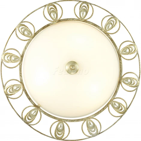 Настенно-потолочный светильник Odeon Light Kanti 3483/3C