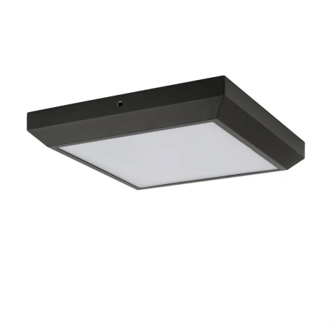 Потолочный светильник уличный светодиодный Oasis Light SIDNEY LED W1021 Gr (220V, IP54)