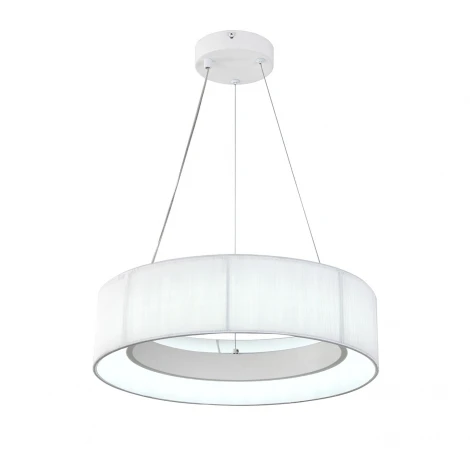 Подвесной светильник светодиодный с пультом и ночным режимом Indigo Luminosa V000208L (13041/A/1P White)