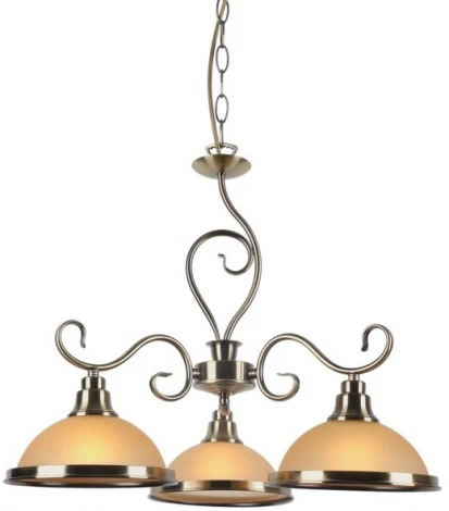 Подвесная люстра Arte Lamp Safari A6905LM-3AB