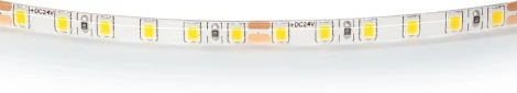 Светодиодная лента теплого белого свечения, влагозащищенная 24V Lightstar 420553