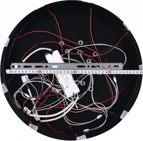 Потолочная люстра Natali Kovaltseva HIGH-TECH LED LAMPS 82009 BLACK (регулировка яркости, 220V, пульт управления, цветы)