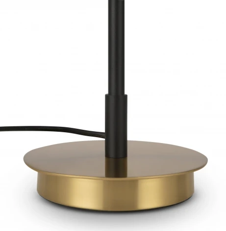 Интерьерная настольная лампа Freya Enzo FR5201TL-01B (220V, выключатель)