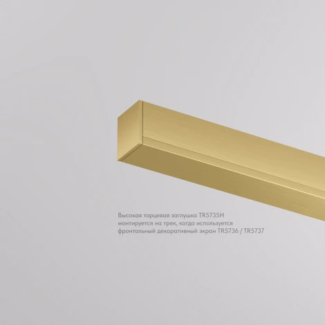 Торцевая заглушка для трека Denkirs Shine Base TR5735H-DN сатинированная латунь, алюминий