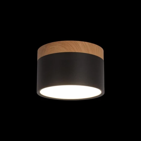 Накладной светильник Grape 10162 Black (LED, 220V, круглые)