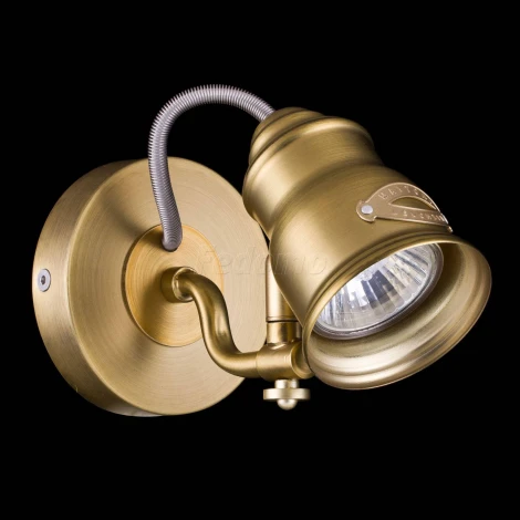 Спот Maytoni Borgo SP315-CW-01-BS