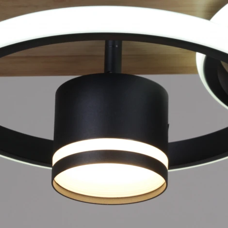 Потолочная люстра с пультом с регулировкой цветовой температуры, яркости и ночным режимом Reluce 29560-0.3-2+2 BK+WOOD