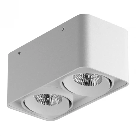 Накладной точечный светильник Lightstar Monocco 052126 (LED, 220V, IP65)