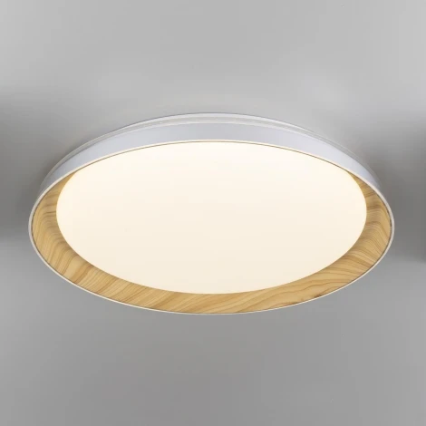 Потолочный светильник RGB круглый светодиодный с пультом Citilux Mega CL752452G (220V, круглые)