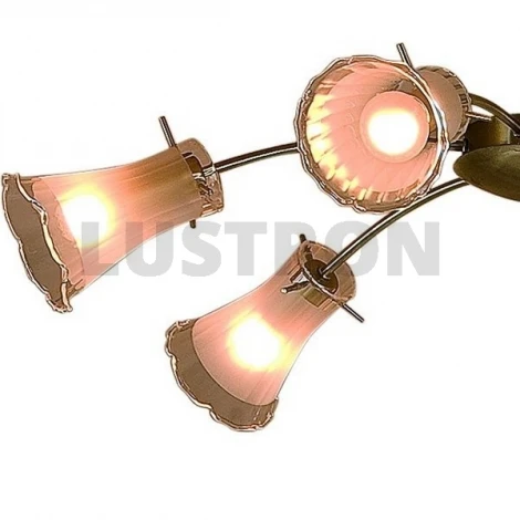 Потолочная люстра Citilux Dana CL106162