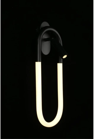 Настенный светильник LED Aployt Bernardet APL.344.01.02 (220V)