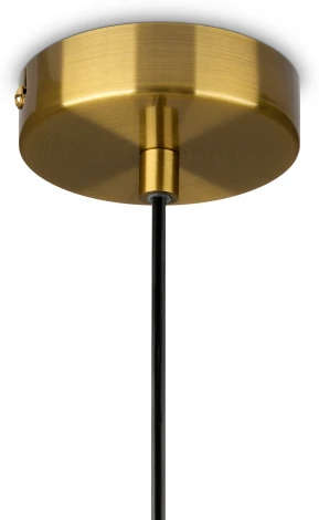 Подвесной светильник Freya Sharlot FR1012PL-01BS1 (220V, на проводе)