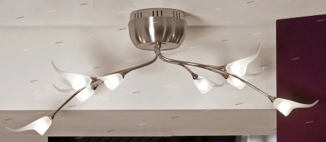 Потолочная люстра Lussole Roncobello LSA-0413-08