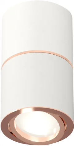 Накладной точечный светильник Ambrella Techno Spot XS7401220 (круглые)