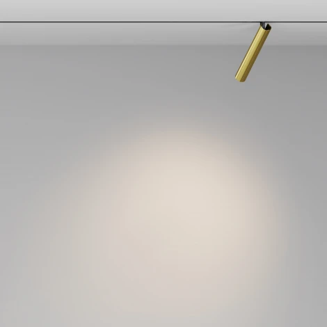 Трековый светильник магнитный 48V Maytoni Focus T TR141-2-6W3K-M-BS (LED, круглые)