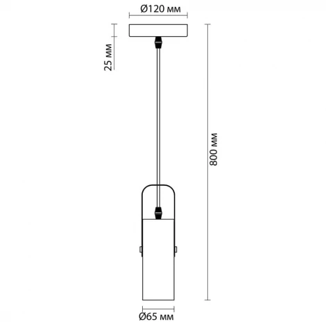 Подвесной светильник Lumion Claire 3714/1 (220V, на проводе)