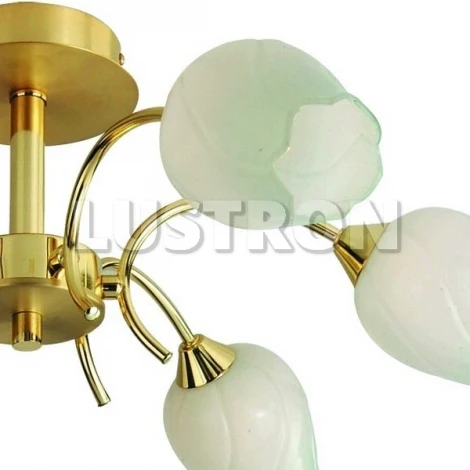 Потолочная люстра Arte Lamp Tulip A8292PL-6PB
