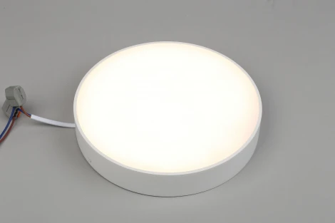Потолочный светильник круглый Aployt Evon APL.0113.09.24 (LED, 220V, круглые)