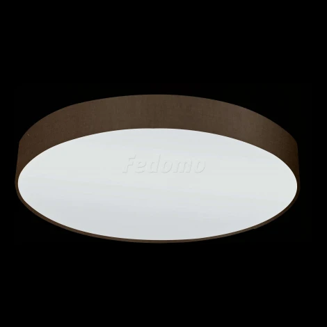 Настенно-потолочный светильник Eglo Pasteri 97616