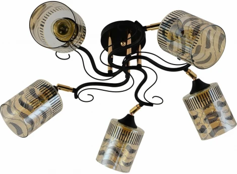 Потолочная люстра на штанге Reluce 11313-0.3-05 BK+FGD (220V)