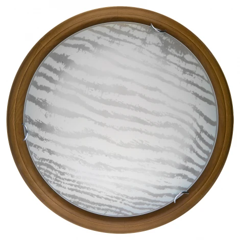 Настенно-потолочный светильник Toplight Calista TL9490Y-00OA