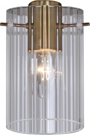 Потолочная люстра на штанге Reluce 74643-0.3-06 (220V)