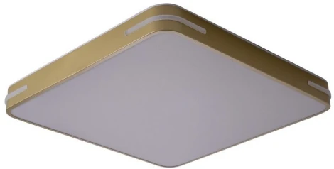 Потолочный светильник Zortes Gabby ZRS.1215.04 (LED, 220V)