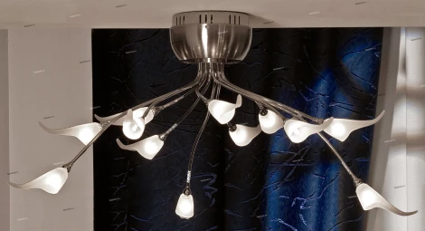 Потолочная люстра Lussole Roncobello LSA-0403-12