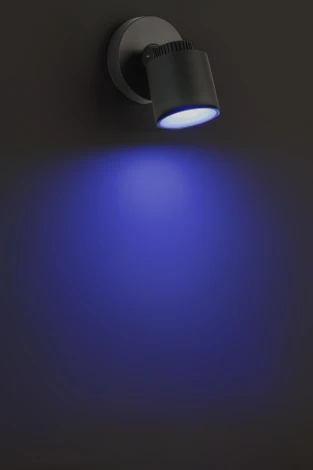 Архитектурная подсветка светодиодная Oasis Light WiZ W6092 WiZ Gr