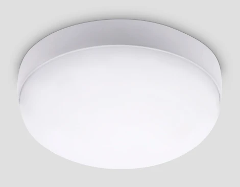 Потолочный светильник круглый светодиодный STREET ST8631 (220V, круглые, IP65)