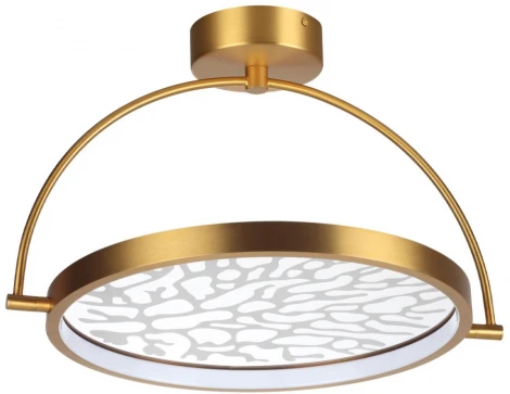 Потолочный светильник круглый поворотный Odeon Light Solaris 6627/36CL MIDCENT античная бронза/металл/акрил IP20 LED 36W 3000K 220V (круглые)