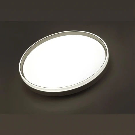Настенно-потолочный светильник Savi 7631/DL (регулировка яркости, LED, 220V, пульт управления, круглые, IP43)