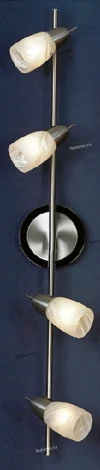 Настенно-потолочный светильник Lussole Cevedale LSQ-6909-04