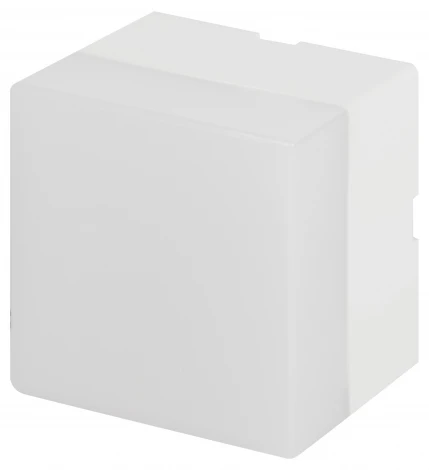 Настенно-потолочный светильник светодиодный ЭРА SML-AC-2-W-4K-04