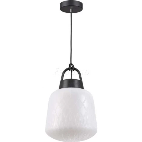 Уличный светильник подвесной Novotech Conte 370601 (220V, на проводе, IP44)