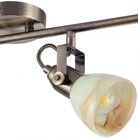 Спот Arte Lamp Tulip A9582PL-4AB