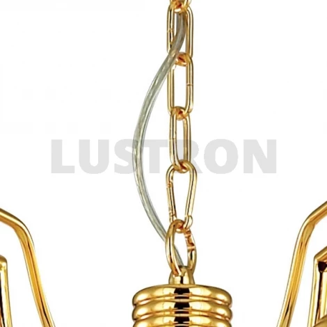 Подвесная люстра N-Light 164 164-08-32 gold