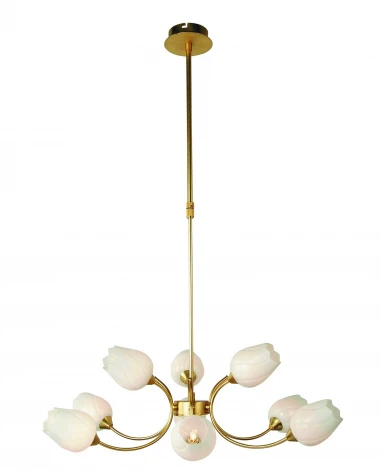 Подвесная люстра Arte Lamp Tulip A8290LM-9PB