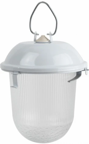 Подвесной светильник ЭРА НСП 41-200-001 (220V, IP54)