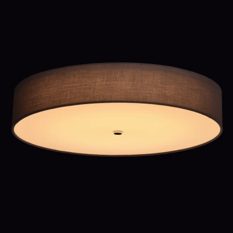 Потолочный светильник MW-Light Дафна 453011601