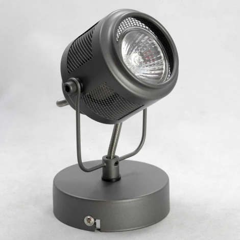 Спот-прожектор Lussole Loft Haines LSP-8045 (220V, IP21)