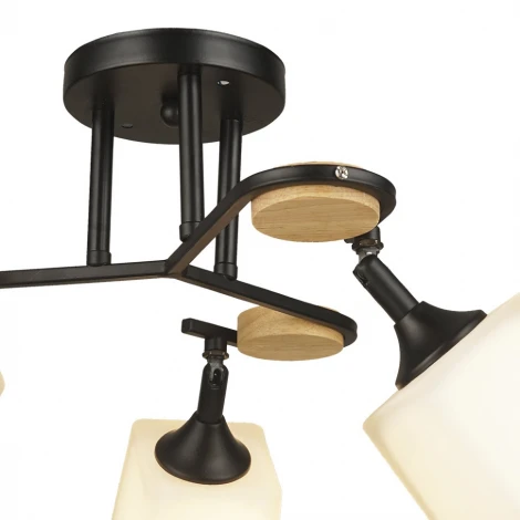 Потолочная люстра Wedo Light Ivetta 66582.01.14.03