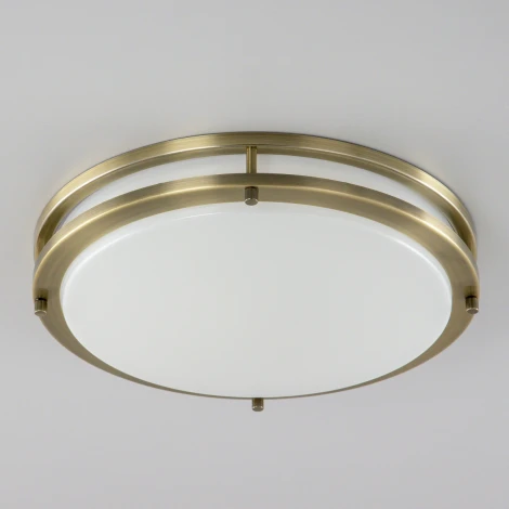 Настенно-потолочный светильник Citilux Бостон CL709323N (LED, 220V, диммер, круглые, IP44)