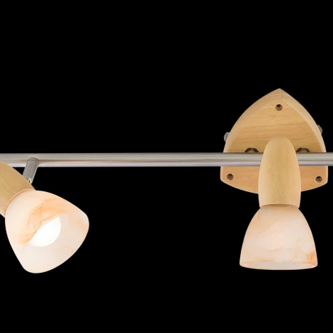 Спот Citilux Монте CL505531