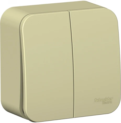 Выключатель накладной двухклавишный (бежевый) Systeme Electric Blanca BLNVA105017