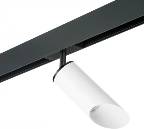 Трековый светильник однофазный 220V Lightstar Rullo PRO43636 (круглые)