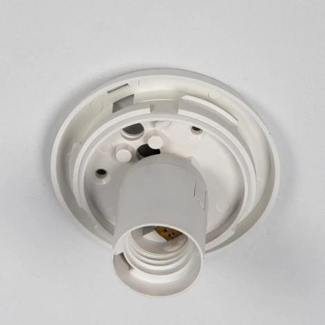 Настенно-потолочный светильник Citilux Ron CL941D20B0