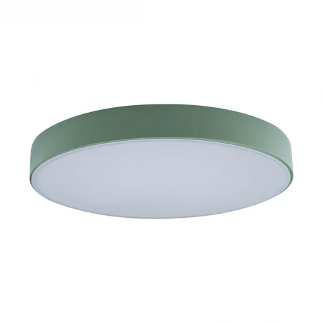 Потолочный светильник круглый Loft IT Axel 10002/24 Green (LED, 220V, круглые)