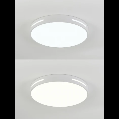 Потолочный светодиодный светильник Natali Kovaltseva Modern LED LAMPS 81332 с пультом ДУ 100W, белый, LED